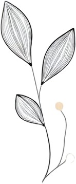 a drawing of a plant with leaves.jpg